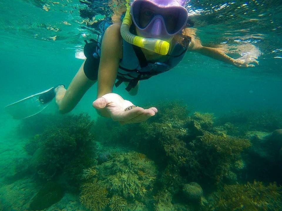 Deepsky Villa Karimunjawa Exteriér fotografie