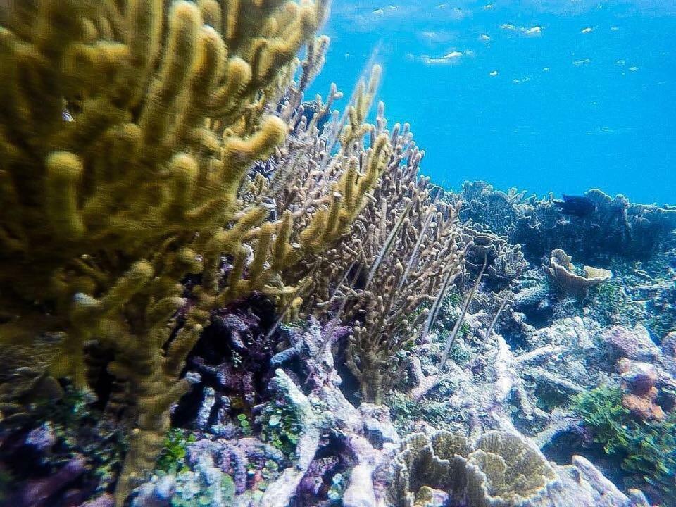 Deepsky Villa Karimunjawa Exteriér fotografie